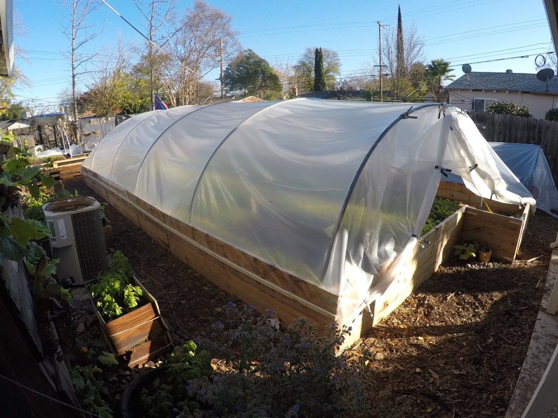 DCIM100GOPROGOPR0001.