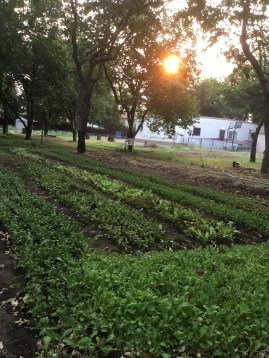 06AB804B-772A-46D8-99A1-140DA26CF69A