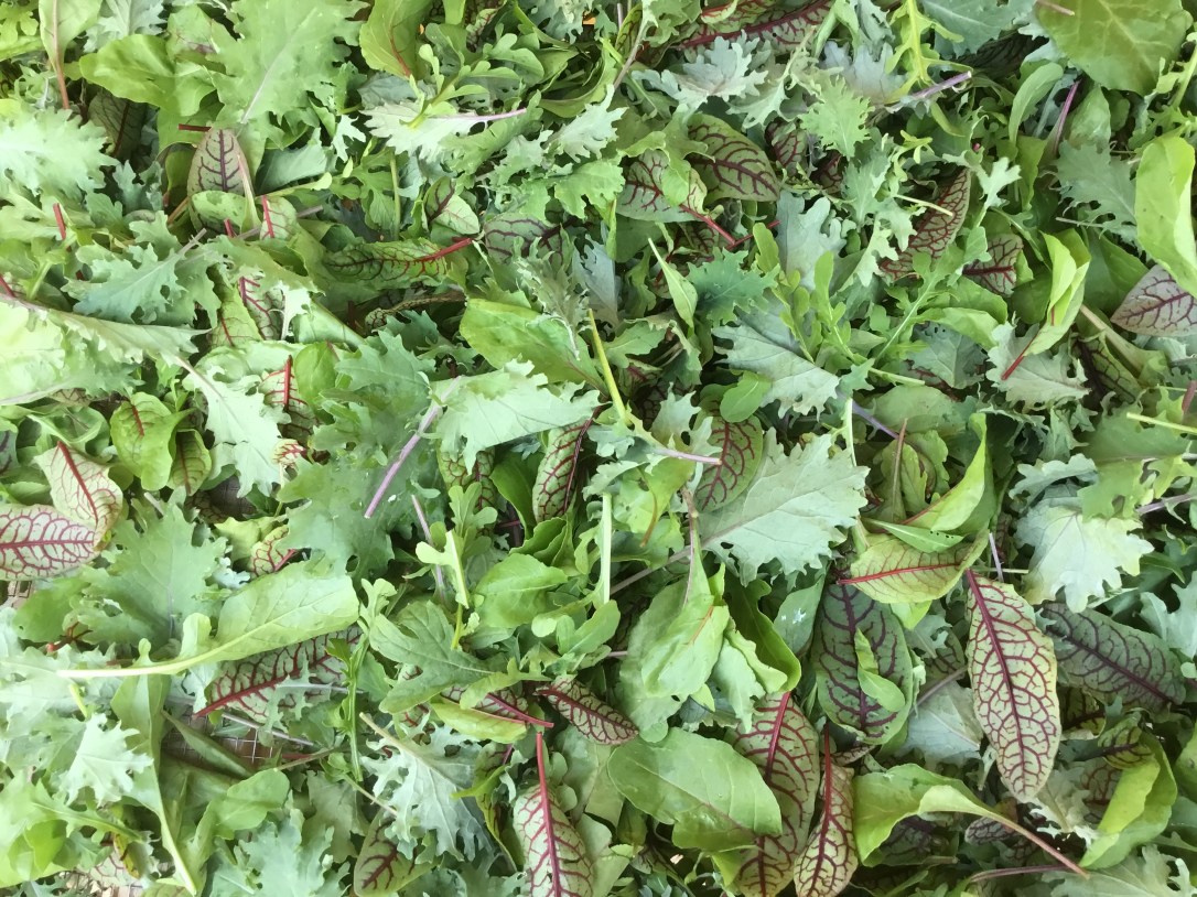 48492D3C-5EC6-4CFD-894C-27E739284BCE