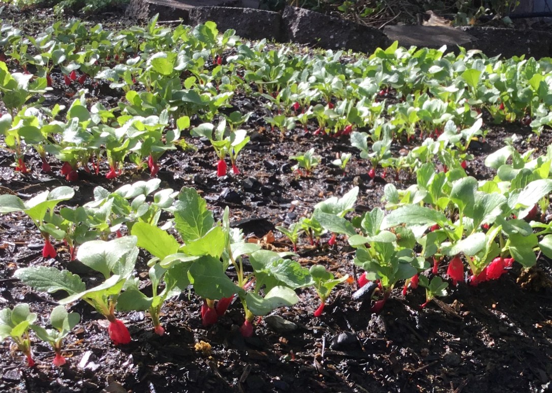 8B902005-64D2-4A83-B535-E7B62DDA0DF7